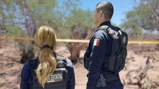 Crisis Violencia BCS