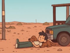 Fin de Semana de Terror en BCS: La Violencia Cobra Vidas y Deja al Descubierto la Ineficacia Oficial Violencia BCS Fin Semana