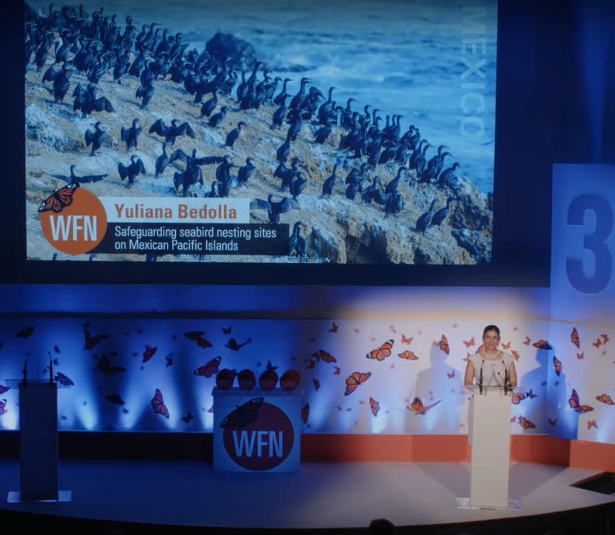 Premio Whitley Conservación BCS: Yuliana Bedolla Guzmán Gana Prestigioso Galardón Ambiental 1 Yuliana Bedolla Guzmán Whitley Award