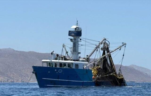 pesca industrial BCS
