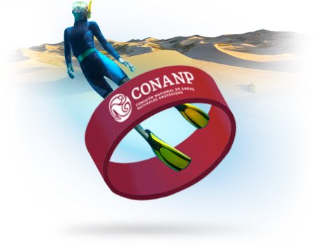 brazalete playa balandra